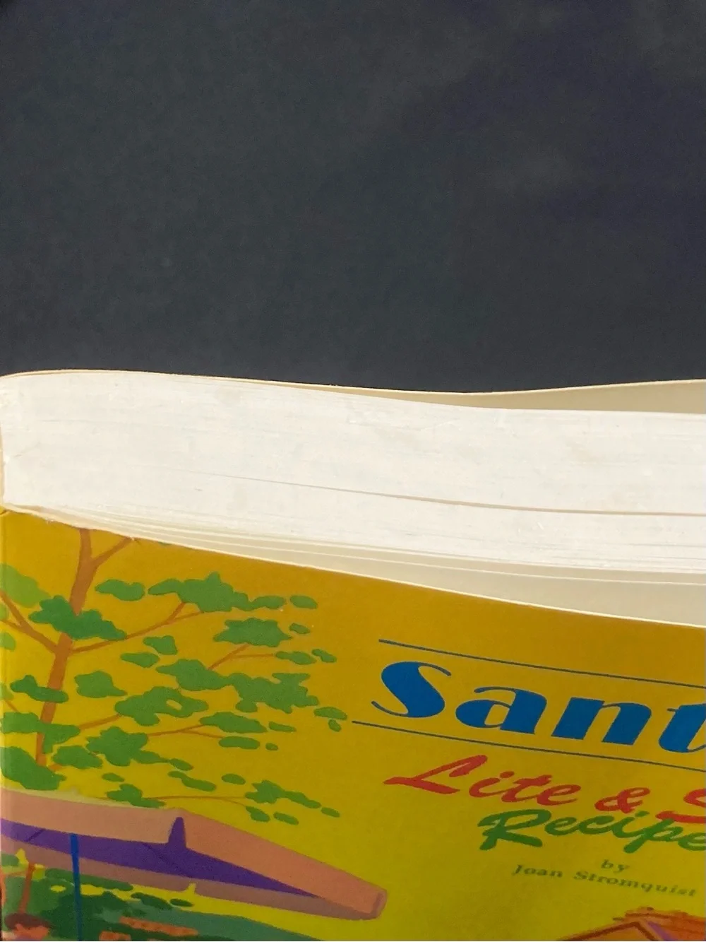 Santa Fe Light and Spicy Recipes by Joan Stromquist Paperback Vintage Cookbook